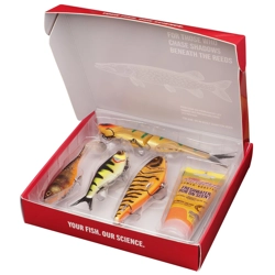 Berkley Pike Gift Box